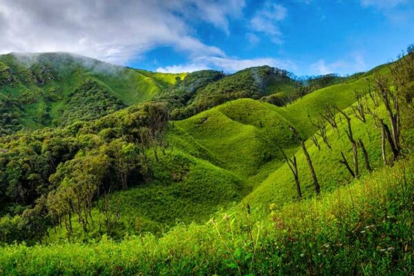 Seven Sisters Tour covering Assam - Meghalaya - Arunachal - Nagaland 15Nts/16Dys - Image 8