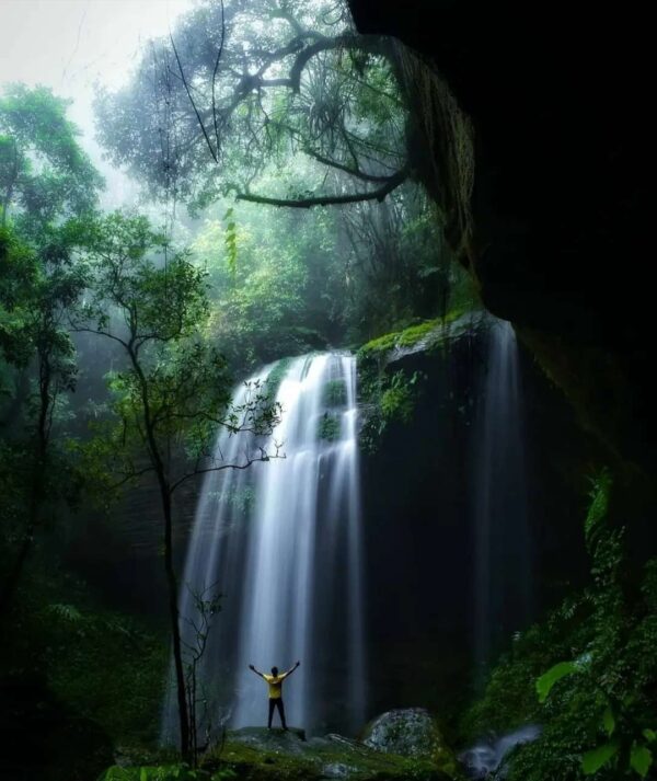 Assam-Meghalaya-Arunachal-Pradesh-Tour-8 Nights-9 Days (Ex-Guwahati) - Image 3