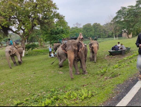 Guwahati - Shillong - Cherrapunji - Mawlynnong Village - Dawki - Kaziranga Tour 7Nts/8Dys - Image 8