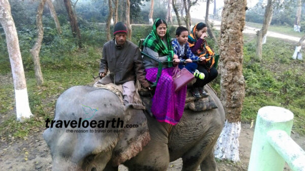 Guwahati - Shillong - Cherrapunji - Kaziranga National Park Tour 5Nts/6Dys - Image 8