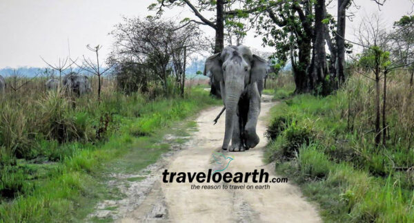 Shillong - Cherrapunji - Mawlynnong - Dawki - Kaziranga 6Nts/7Dys Tour - Image 2