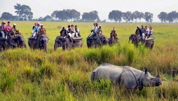 Shillong - Cherrapunji - Mawlynnong - Dawki - Kaziranga 6Nts/7Dys Tour - Image 3