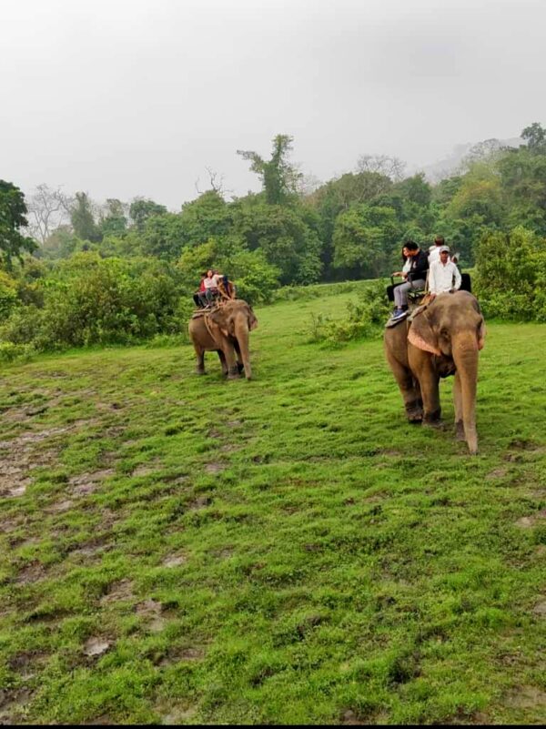Shillong - Cherrapunji - Mawlynnong - Dawki - Kaziranga 6Nts/7Dys Tour - Image 8
