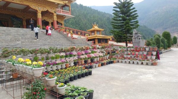 Dirang Monastery, Arunachal