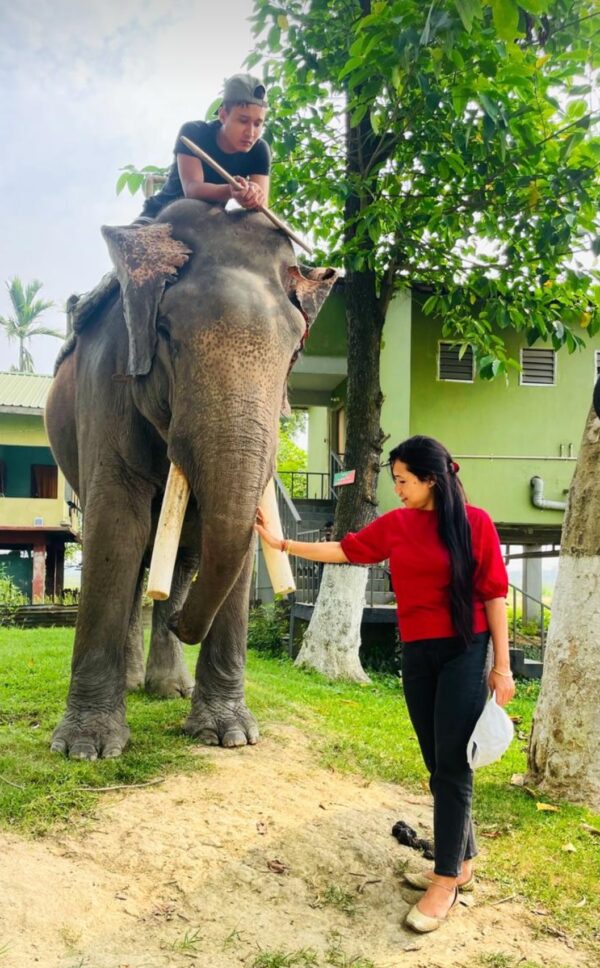 Pobitora National Park, Assam Elephant Ride Point