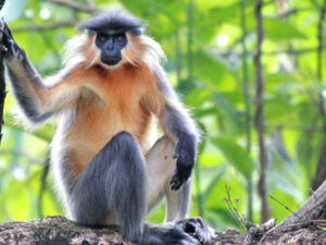 Assam and Arunachal Pradesh Tour 8Nts/9Dys