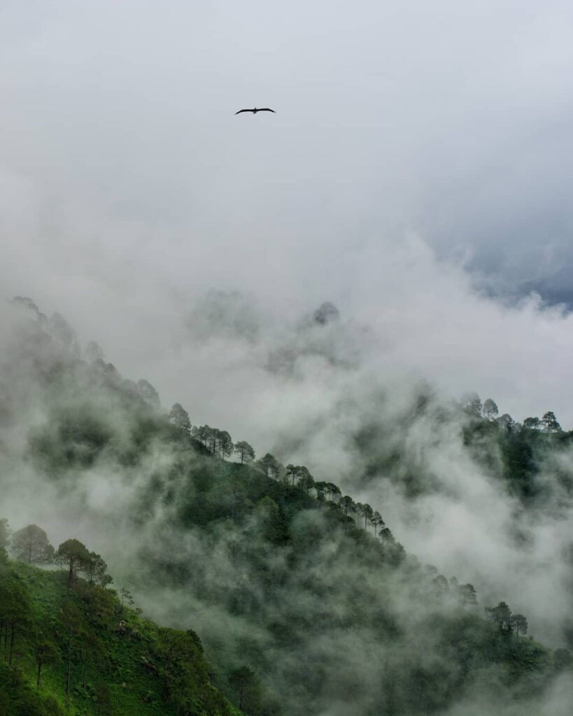 Assam and Arunachal Tour for 7 Nights/8Days